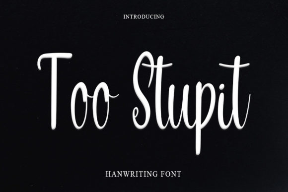 Too Stupit: A Playful Font for Creative Brands